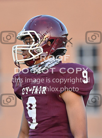 DLS_7804