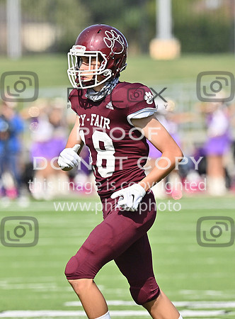 DLS_0909