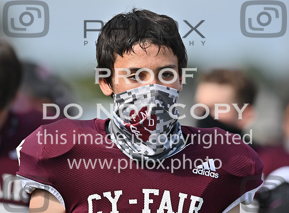 DLS_0960