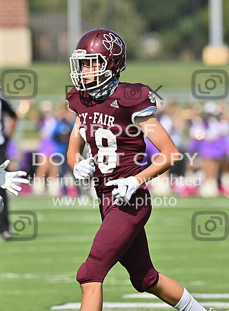 DLS_0910