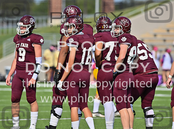 DLS_0896
