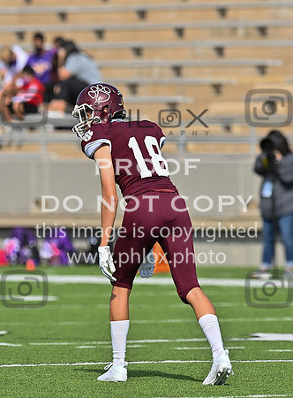 DLS_0897