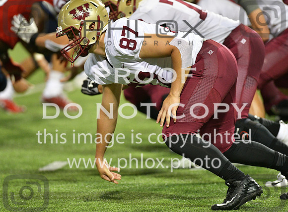 TOM_8022