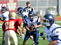 TOM_4660