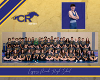 composite1