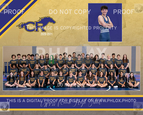 composite1