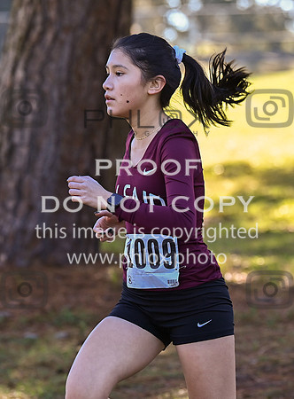 DLS_4830