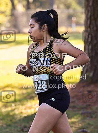 DLS_4831