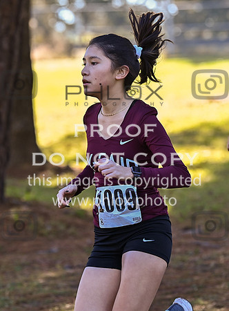 DLS_4829