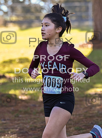 DLS_4828