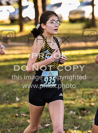DLS_4874