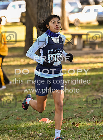 DLS_4864
