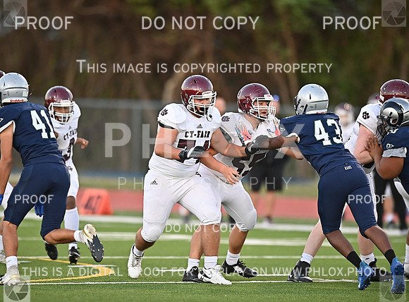 DLS_0409