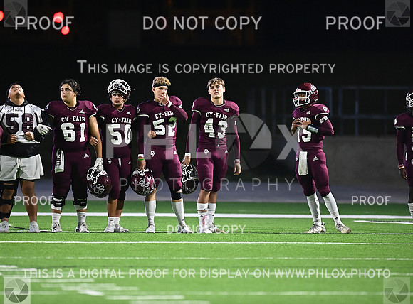 DLS_8210