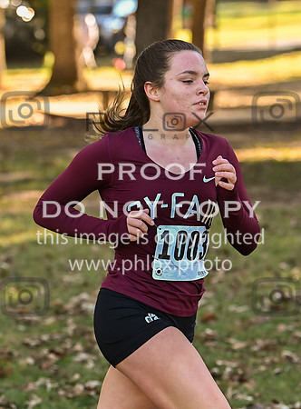 DLS_4896