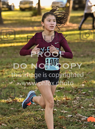 DLS_4901