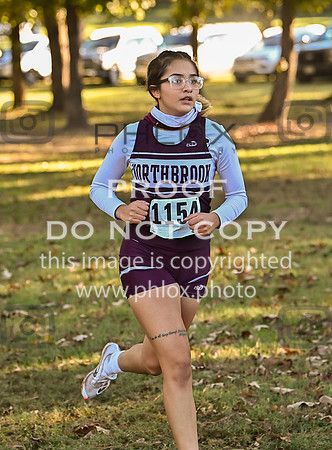 DLS_4879