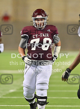 DLS_8275
