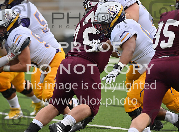DLS_0010