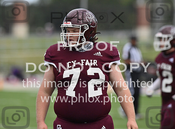 DLS_0028