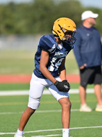 18 DACIAN FIELDS Cy Ranch 9-23