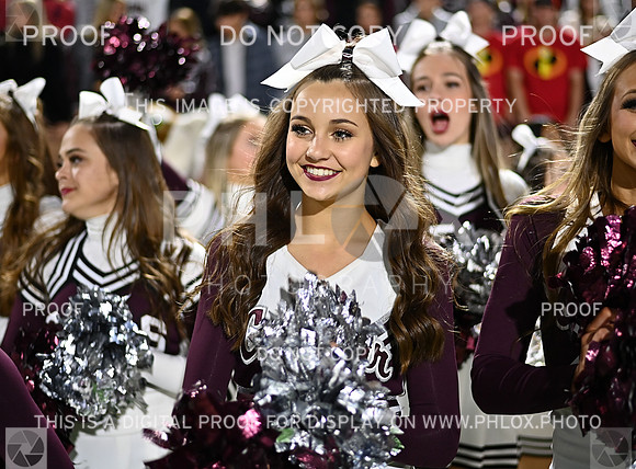 DLS_4324