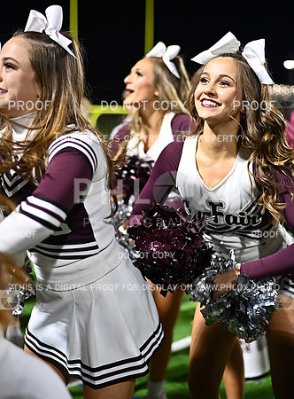 DLS_4088