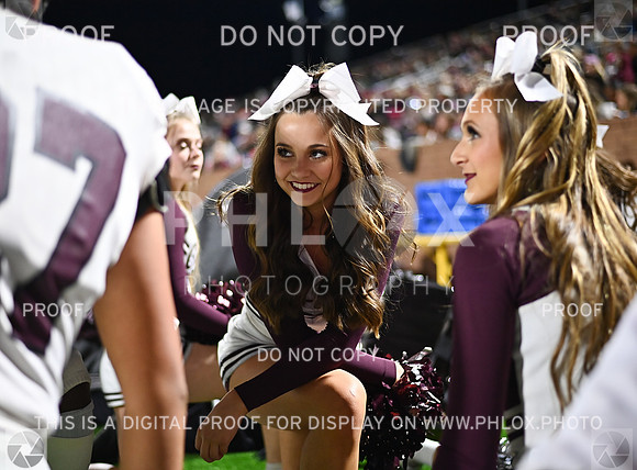DLS_4210