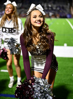 DLS_4725