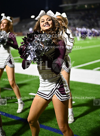 DLS_4732