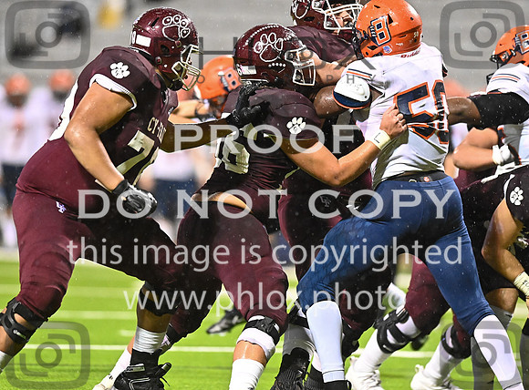 DLS_8546