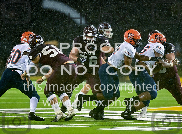 DLS_8399