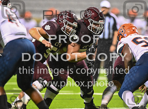 DLS_8542
