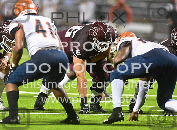 DLS_8482