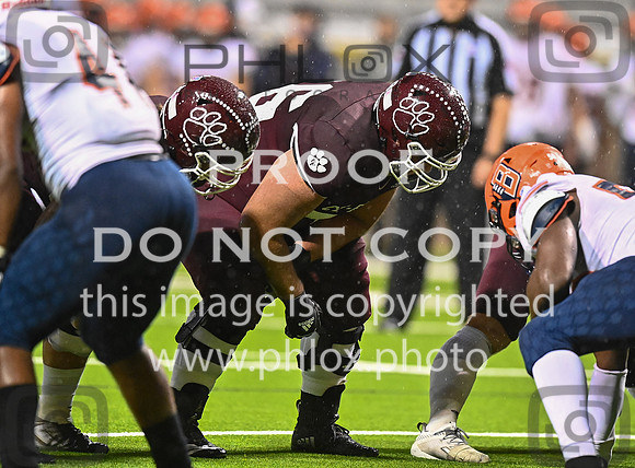 DLS_8541
