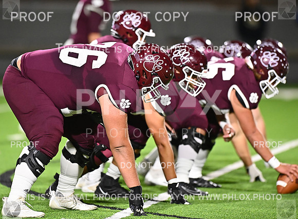 DLS_7068