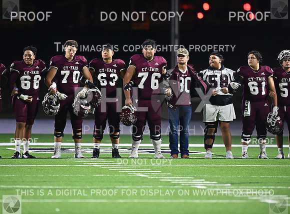 DLS_8202