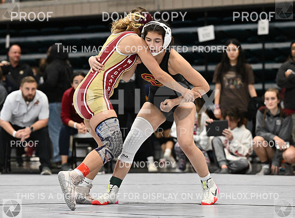 DLS_1544-2