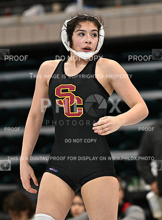 DLS_1582-2