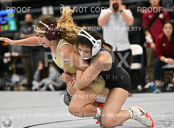 DLS_1579-2