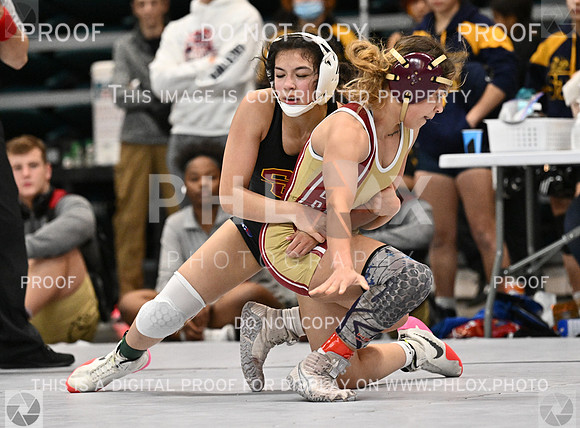 DLS_1589-2
