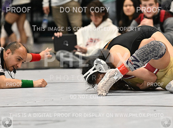 DLS_1595-2