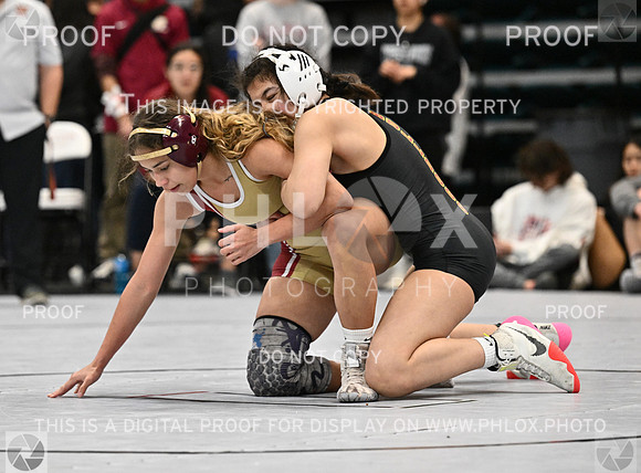 DLS_1577-2