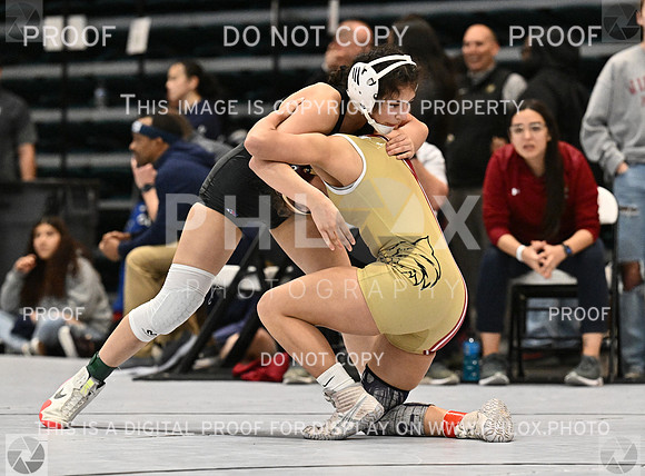 DLS_1563-2