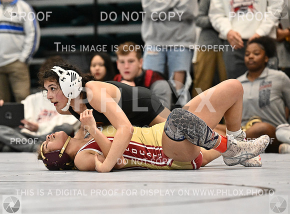 DLS_1602-2