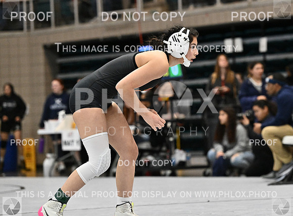 DLS_1546-2
