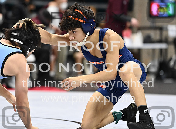 DLS_0672