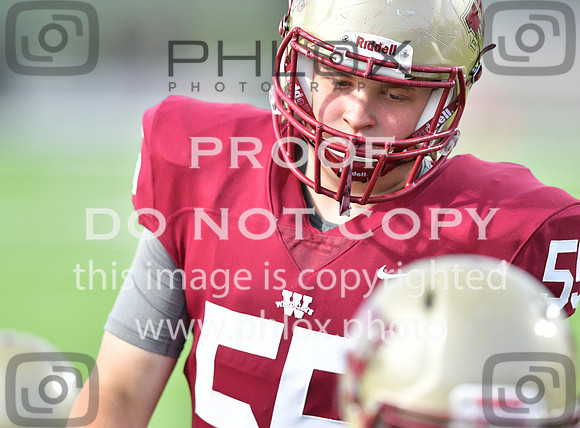 TOM_3108