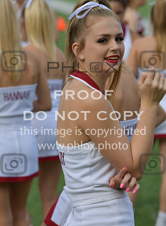 D85_8639