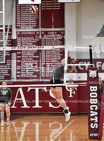 FDS_9698